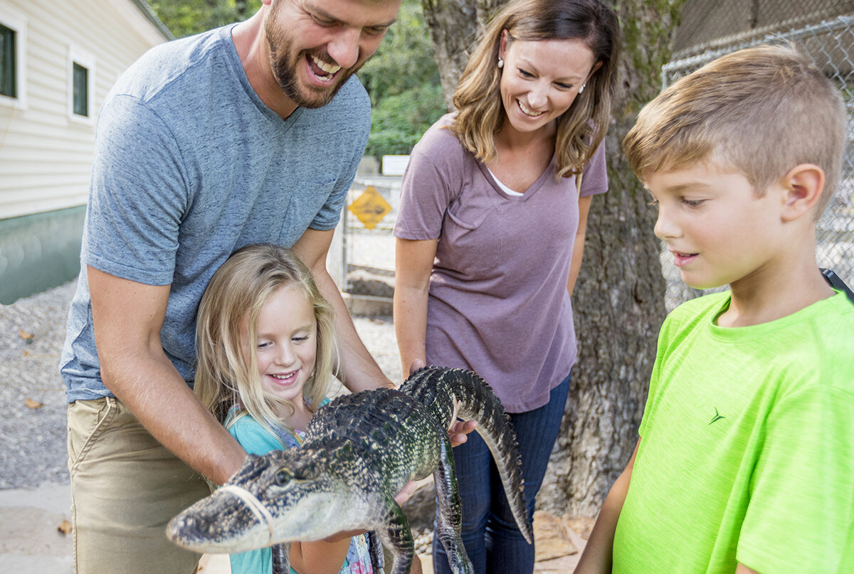 Visit an Arkansas Alligator Farm Farm Bureau Insurance of Arkansas, Inc.